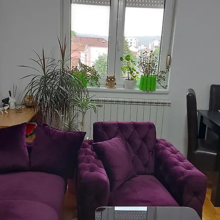 Apartment Centar *